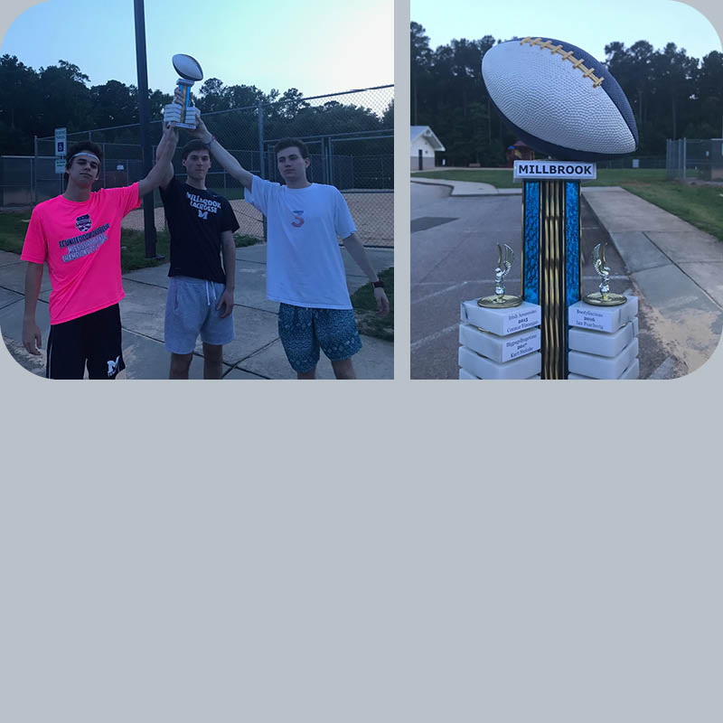 Nobo Research Picture 1