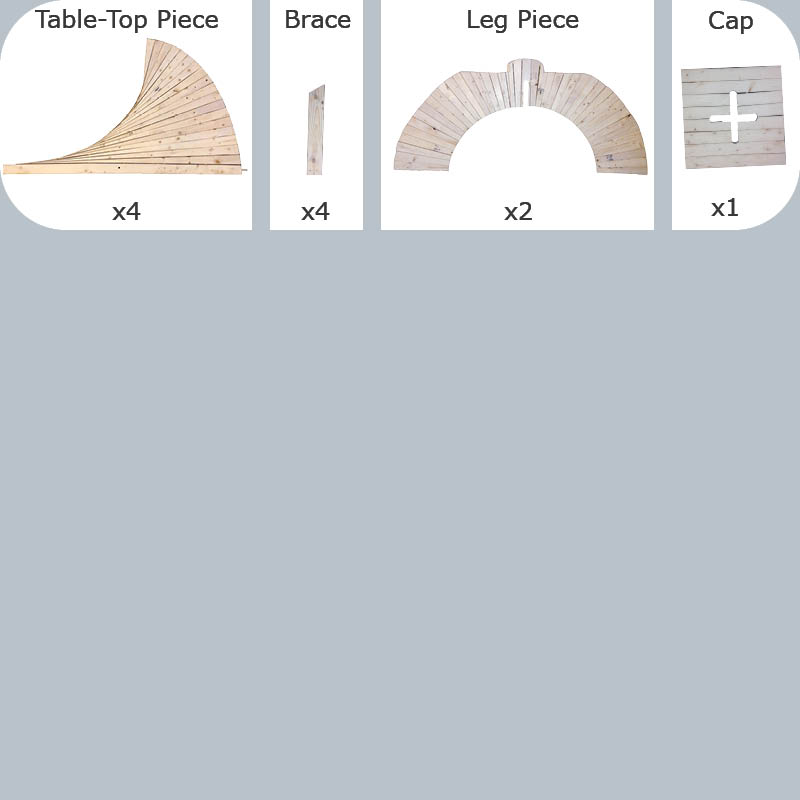 Campaign Trail Process Pic2