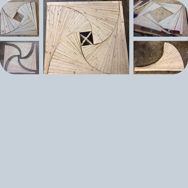 Campaign Trail Process