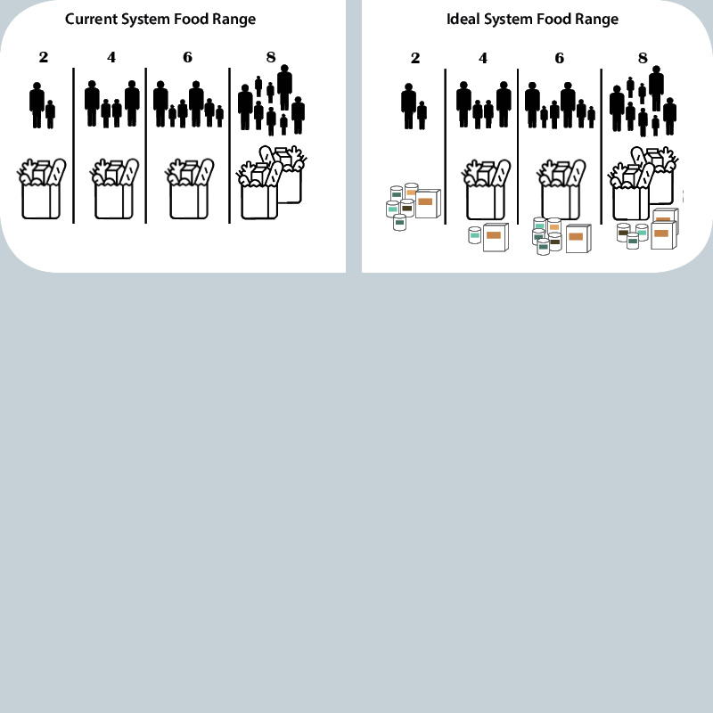 Campaign Trail Process