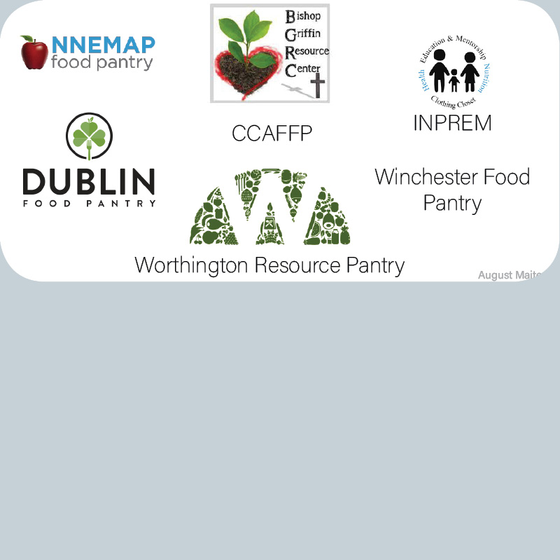 Campaign Trail Process