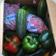 Food Waste Research Project